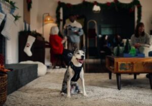 کارگردان جدید هالیوود یک سگ است؟ وقتی یک تبلیغ را «میا» کارگردانی می‌کند