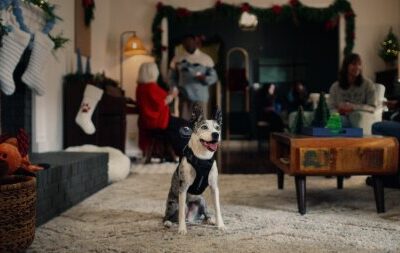 کارگردان جدید هالیوود یک سگ است؟ وقتی یک تبلیغ را «میا» کارگردانی می‌کند