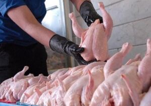 قیمت مرغ تازه در تهران اعلام شد