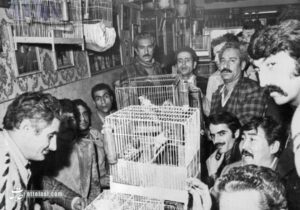 عکس‌ها و گزارش خواندنی از قناری‌بازان مشهور ایرانی در سال ۱۳۵۴