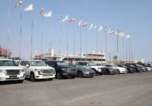 محمدرضا بازگیر *