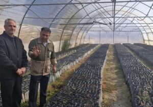 گامهای جدی منابع طبیعی گرمسار برای مقابله با بیابانزایی و بحران آب