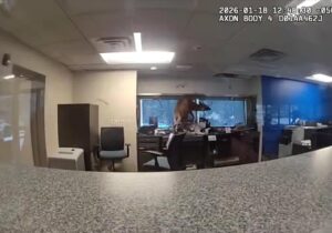 ببینید | سرقت ناموفق گوزن از بانک