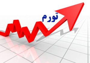 تورم سالانه منتهی به دی ماه اعلام شد/جزییات