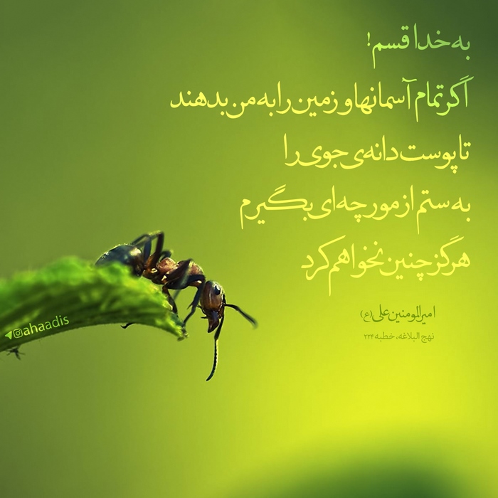 حدیث : نهی از ظلم کردن به مظلوم (+پوستر) - موسسه تحقیقات و نشر معارف  اهل‌البیت علیهم‌السلام