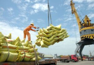 تخلیه هزار تن برنج وارداتی در بندر شادگان انجام شد