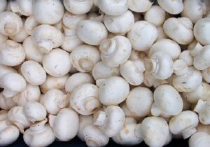 قیمت انواع قارچ در تهران اعلام شد