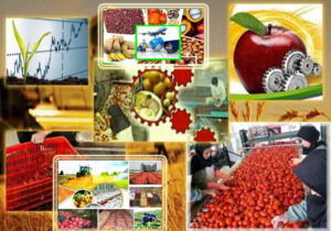 لرستان در آزمون توسعه؛ آیا نقشه‌راه و سرمایه ۴۰ همتی به ثمر می‌نشیند؟