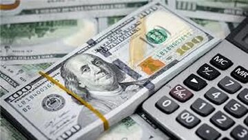 حذف ارز ترجیحی؛ شوک قیمتی اجتناب‌ناپذیر در زنجیره دام و طیور