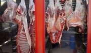 کاهش چشمگیر قیمت گوشت قرمز در بازار امروز/ گوشت گوسفندی به چند تومان رسید؟