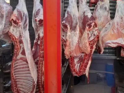 ببینید | ادعای   رئیس شورای تامین دام کشور درباره کاهش قیمت چشم‌گیر در بازار گوشت!