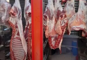 گوشت ارزان می‌شود؟/ هشدار اتحادیه دام سبک درباره بازار گوشت سال آینده
