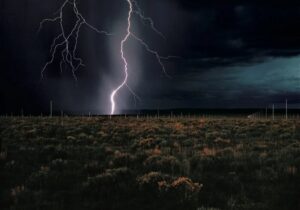 برترین آثار هنری که ۲۰۲۵ به نمایش درآمدند