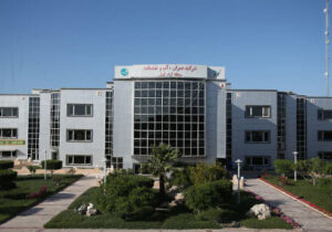 اجرای شبکه آبیاری مکانیزه جزیره در دستور کار  شرکت عمران و خدمات کیش